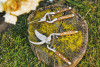 Miniature 2