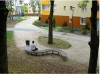 Miniature 4