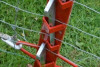 Miniature 5