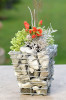 Miniature 6