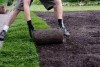 Miniature 6
