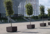 Miniature 3