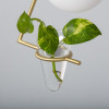 Miniature 5