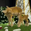 Miniature 3
