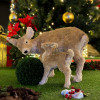 Miniature 4