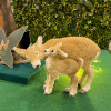 Miniature 5