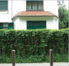 Miniature 4