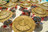 Miniature 4