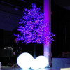 Miniature 5