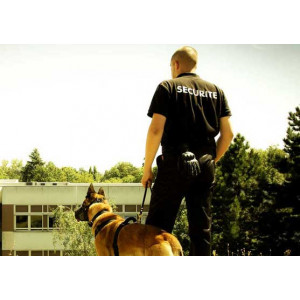 https://www.techni-contact.site/ressources/images/produits/merchandising/agent-de-securite-cynophile-53176852-1.jpg - offre une sécurité infaillible à votre site