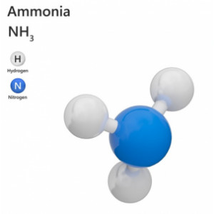 Ammoniaque (ou ammoniac) Alcali 22¡ -Hydroxyde d'ammonium - CAS N¡ 1336-21-6 - 20% dans l'eau(solution d'ammoniaque)(CAS 1336-21-6)