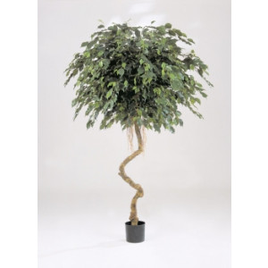 Arbre artificiel ficus exotique - Hauteur: 180 cm