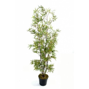 Arbre bambou black - Hauteur : 150 cm