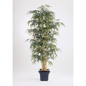Arbre bambou semi naturel - Hauteur : 300 cm
