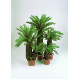 Arbre cycas artificiel - Hauteur  : 130 cm