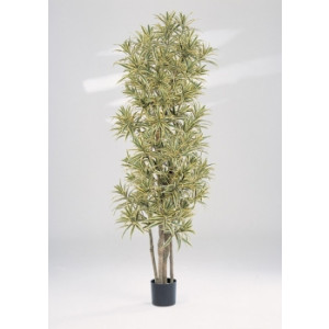 Arbre dracaena artificiel - Hauteur : 120 cm