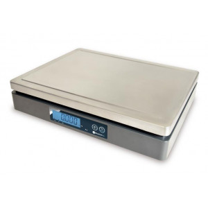 https://www.techni-contact.site/ressources/images/produits/merchandising/balance-poids-seul-17387451-1.jpg - Boîtier en ABS et plateau en inox - Portée : 6/15 à 15/30 Kg - Précision CE-M : 2/5 à 5/10 g
