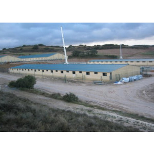 Bâtiment élevage bovin - Bâtiment sans poteaux