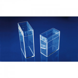 Boîtes rectangulaires en plastique - Dimensions(L x l x H): 349 x 203 x 36 mm - Modèle : rectangulaire