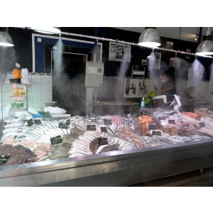 https://www.techni-contact.site/ressources/images/produits/merchandising/brumisation-pour-poissonnerie-55459272-1.jpg - Conserve vos poissons frais et limite les pertes