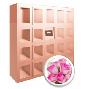 Casier automatique fleurs - 19 ou 25 casiers de 400X400X500 mm