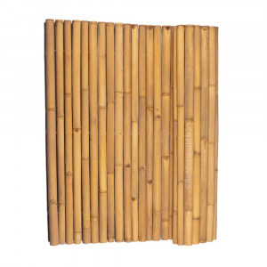 https://www.techni-contact.site/ressources/images/produits/merchandising/cloture-bambou-naturel-40-60mm-93191337-1.jpg - Clôture bambou naturel 40/60mm. Gros diamètre de bambou pour faire une brise-vue bambou impressionante.