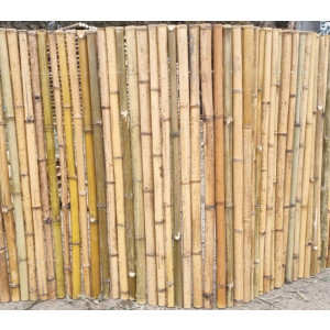 Clôture bambou thermo-traité naturel - Largeur x hauteur : 200 x 100 cm - Diamètre bambous : 20-40mm
