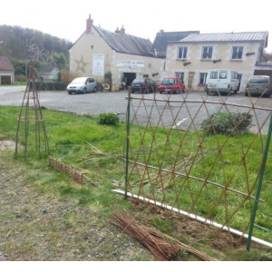 Clôture en osier vivant tressage losange - Plantation de clôtures osier en losanges et de haies