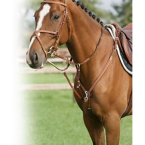 Collier de chasse en cuir et élastique - Plus d'aisance pour le cheval