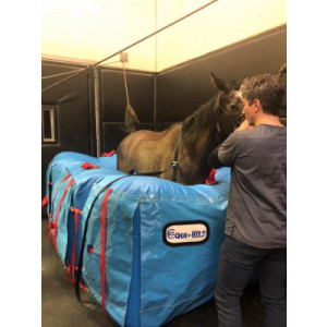 https://www.techni-contact.site/ressources/images/produits/merchandising/coussin-gonflable-post-chirurgie-cheval-52799493-1.jpg - Sur mesure
