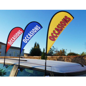 Drapeau publicitaire 80 x 32 cm - Hauteur 80 x 32 cm