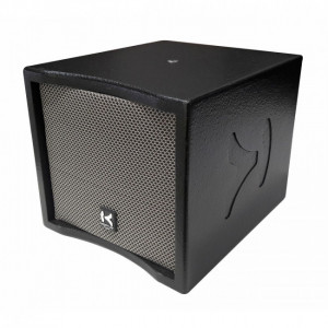 Enceinte polyvalente  - Puissance : 100 W AES / 200 W Programme