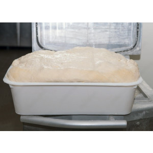 https://www.techni-contact.site/ressources/images/produits/merchandising/equipement-de-fermentation-boulangerie-32215212-1.jpg - Taille : dimensions standard et adaptable au modèle d’armoire de fermentation