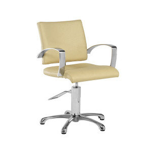 Fauteuil accoudoirs aluminium pour salon de coiffure - Dimensions (L x P x H) : 60 x 63 x 86/101 cm