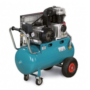 https://www.techni-contact.site/ressources/images/produits/merchandising/groupes-compresseur-bi-cylindres-56657944-1.jpg - Puissance : 3 kW -.réf : 2009530