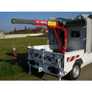 Grue Electrique F 500 - Capacité de levage: 500 kg