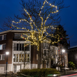 https://www.techni-contact.site/ressources/images/produits/merchandising/guirlandes-lumineuses-exterieures-10-m-27976241-1.jpg - Longueur : 10 m - Nombre de leds : 100