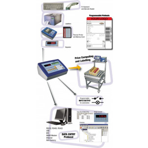 Indicateur multifonction poids prix - SERIE 3590 