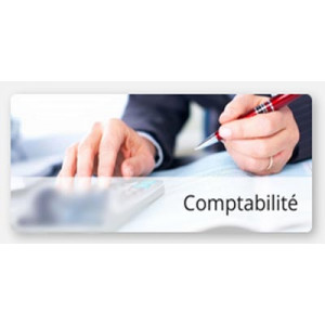 Logiciel de gestion comptable - Une vision 360° de votre système d’information comptable et financier