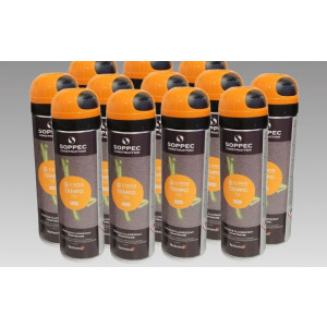 https://www.techni-contact.site/ressources/images/produits/merchandising/lot-de-12-bombes-de-marquage-temporaire-30-jours-68455376-1.jpg - Durée : 30 jours