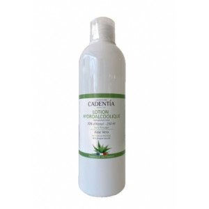 Lotion de gel hydroalcoolique à l'aloe vera - Lotion pour désinfection des mains, flacon 100 ml