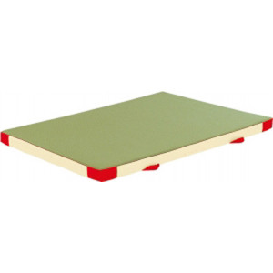 Matelas de chute pour gymnastique - Dimensions (L x l x ép.) : 200 x 140 x 10 cm