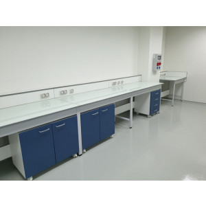 https://www.techni-contact.site/ressources/images/produits/merchandising/meuble-sous-paillasse-a-porte-42111671-1.jpg - A roulettes - 1 ou 2 portes