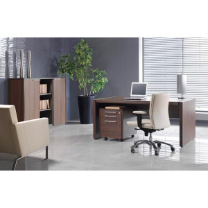 Mobilier de bureau de direction professionnel - Dimensions des bureaux en cm : 170x97x76 -  200x100x76