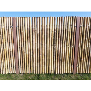 Panneau en bambou - Dimension : 180 x 180 cm  - Diamètre bambou: 6-8 cm