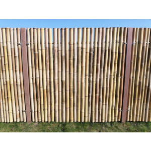 Panneau en bambou - Dimension : 180 x 180 cm  - Diamètre bambou: 6-8 cm