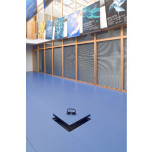 https://www.techni-contact.site/ressources/images/produits/merchandising/plancher-technique-en-linoleum-19272342-1.jpg - En caoutchouc, en PVC, en fibres synthétiques
