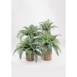 Plante basse boston artificielle - Hauteur : 90 cm