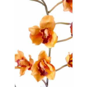 Plante fleurie cybidium semi naturelle - Cybidium artificielle