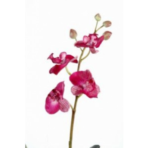 Plante fleurie phalaenopsis artificielle - Hauteur : 35 cm